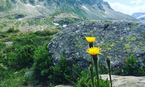 Nature around Feldkirch is beautiful