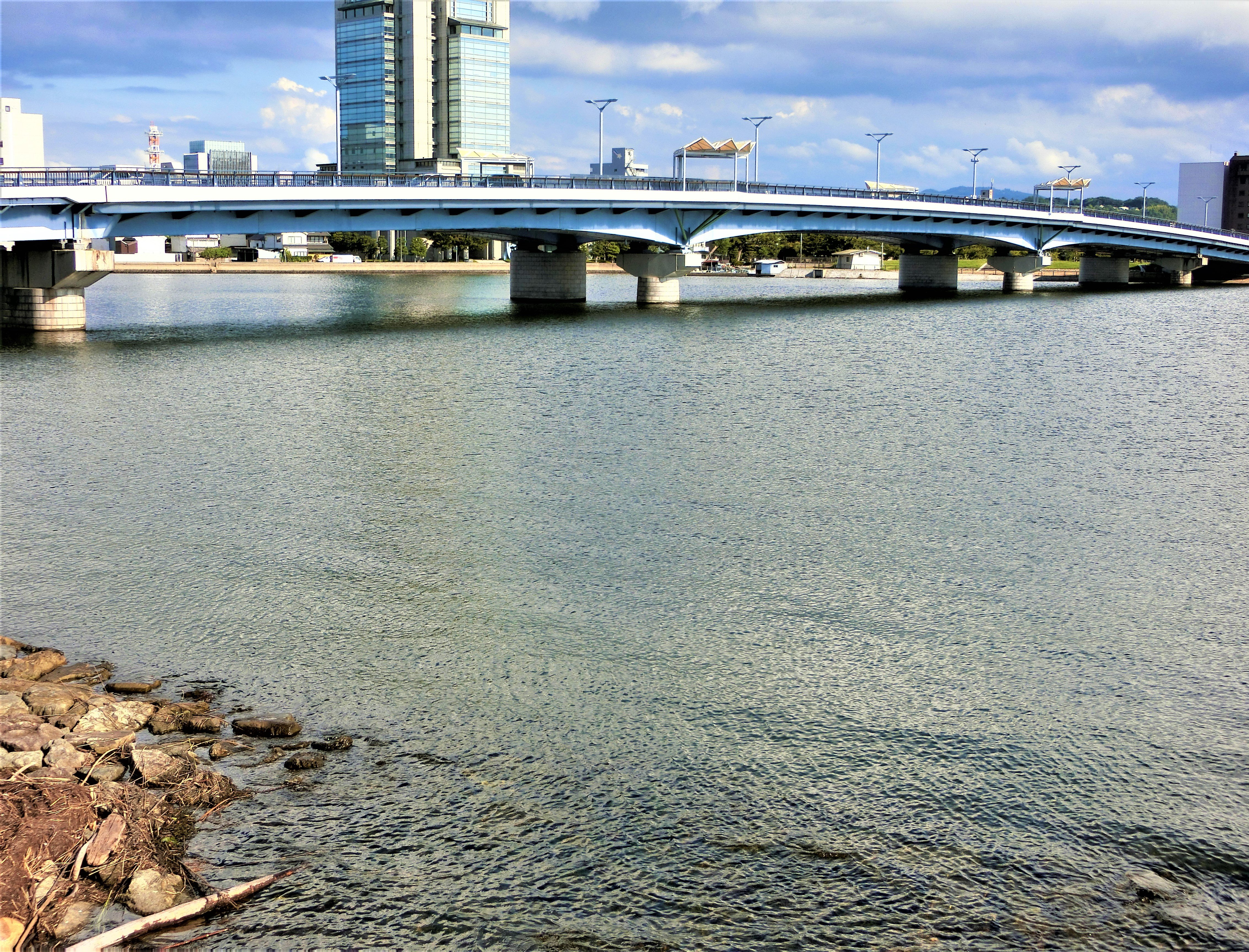 Shinjiko Ohashi Bridge (2025) - All You Need to Know BEFORE