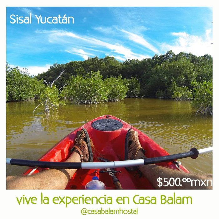 Casa Balam Hostel Sisal - Updated 2024 Reviews (mexico)