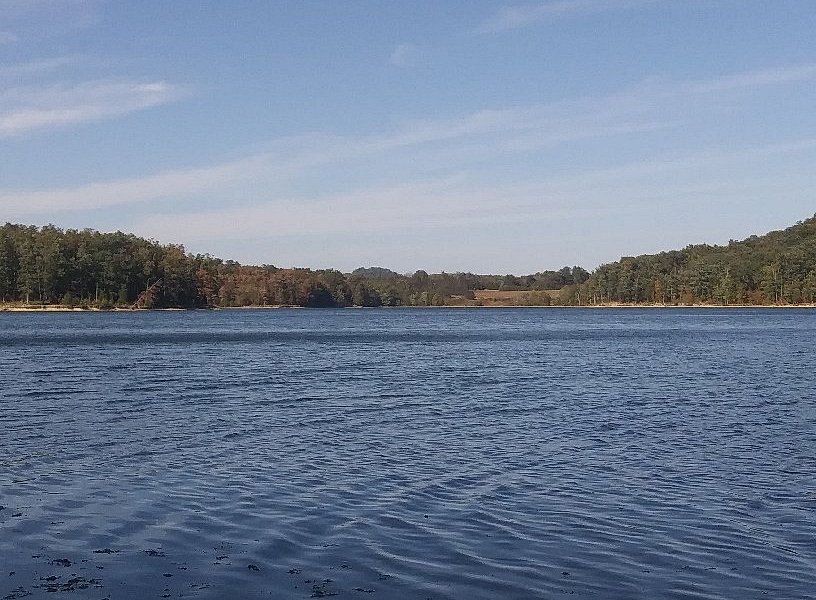 Fagan Branch Reservoir image