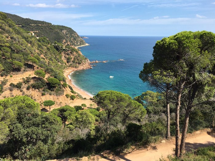 Imagen 9 de Cala del Señor Ramón