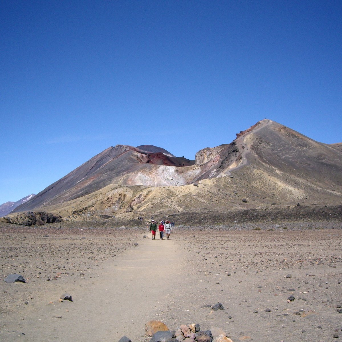 Tongariro Crossing Shuttles - All You Need to Know BEFORE You Go (2024)