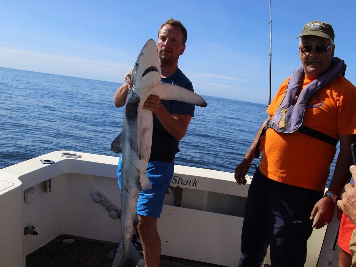 Blue Shark Big Game Fishing - All You Need to Know BEFORE You Go (2024)