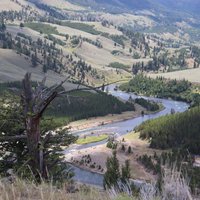 Yellowstone River Picnic Area - All You Need to Know BEFORE You Go (2024)