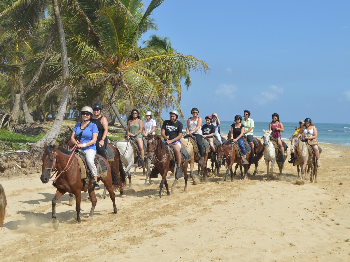 BEST PUNTA CANA TOURS & TRANSFERS - All You Need to Know BEFORE You Go