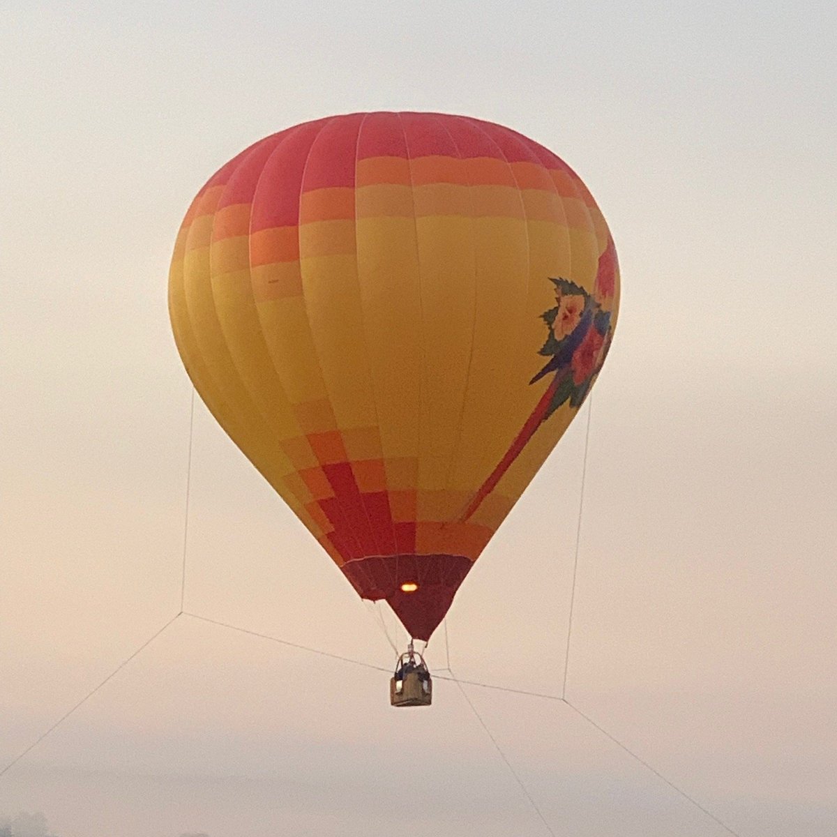 Adirondack Balloon Festival (Queensbury) All You Need to Know BEFORE