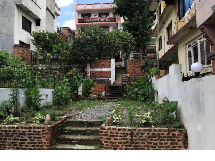 BIRDS NEST HOSTEL - Updated 2024 Prices & Reviews (Kathmandu, Nepal)