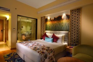 Room & Suite