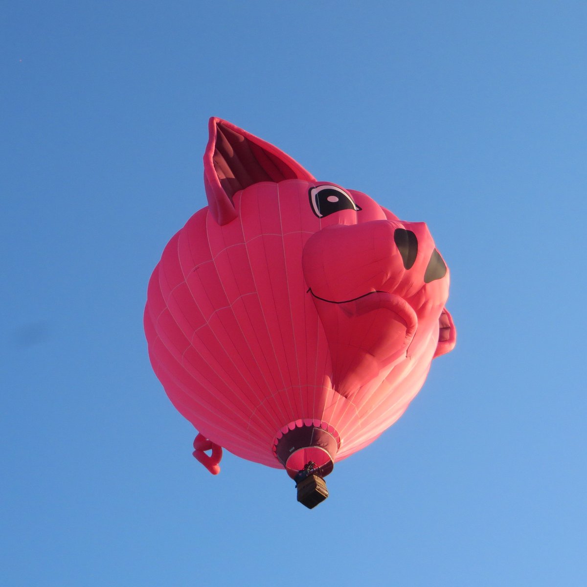 ADIRONDACK BALLOON FESTIVAL (Queensbury) Tutto quello che c'è da sapere