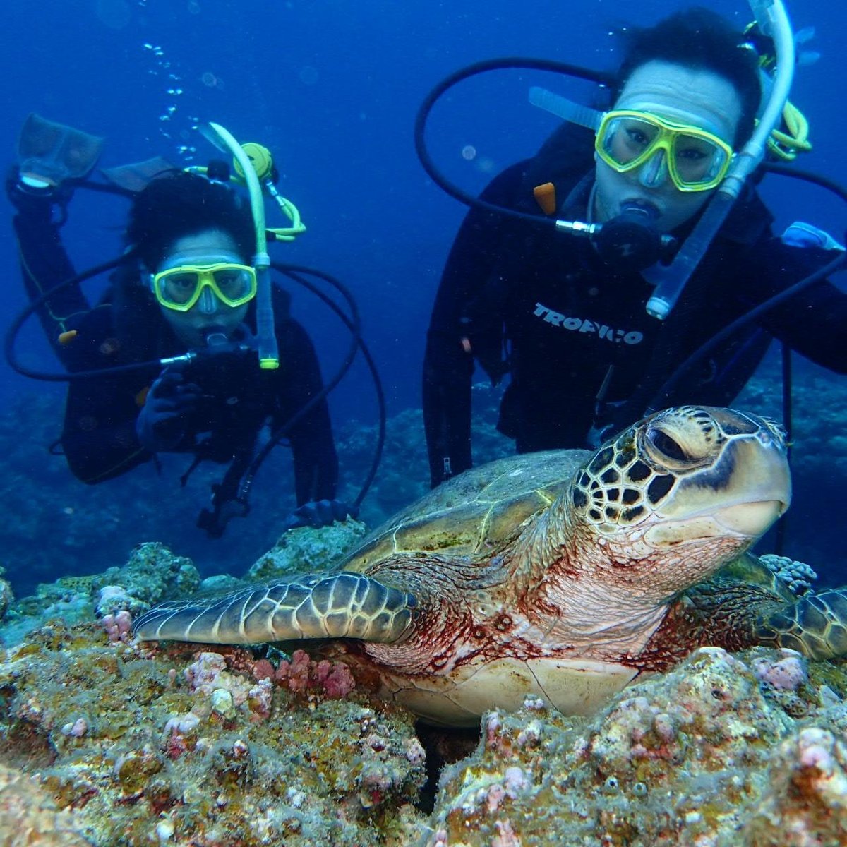 Kaizar Marine Club (Naha) - All You Need to Know BEFORE You Go