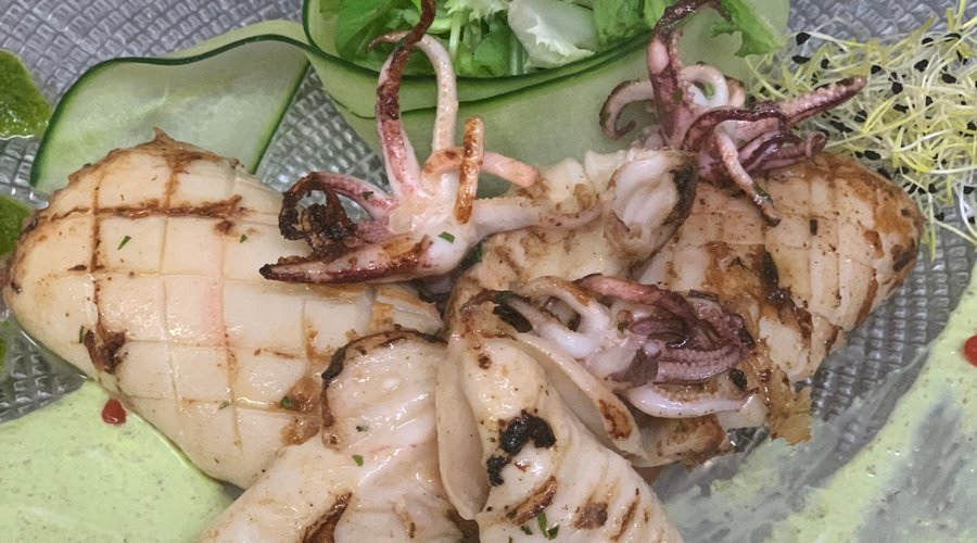 Grilled Calamary