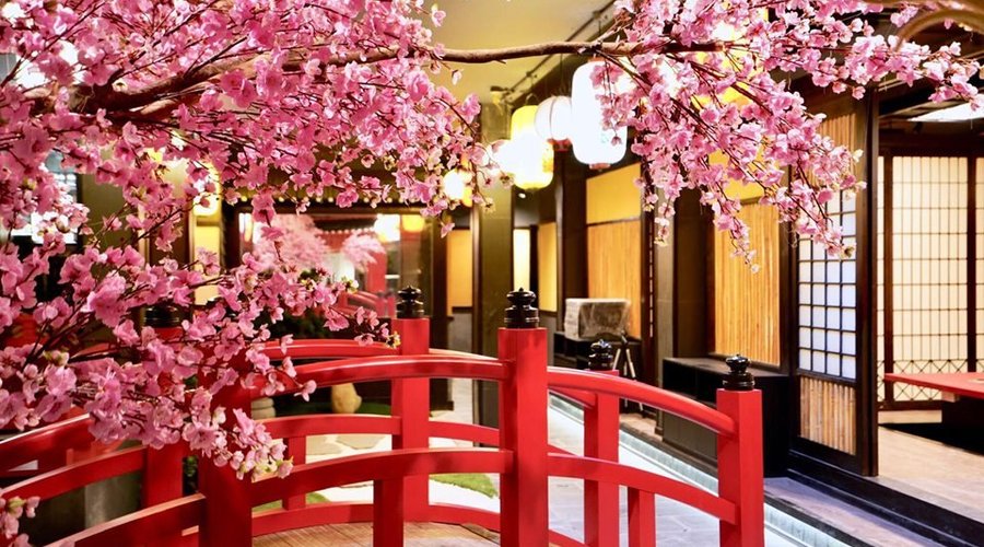 Cherry blossom corner