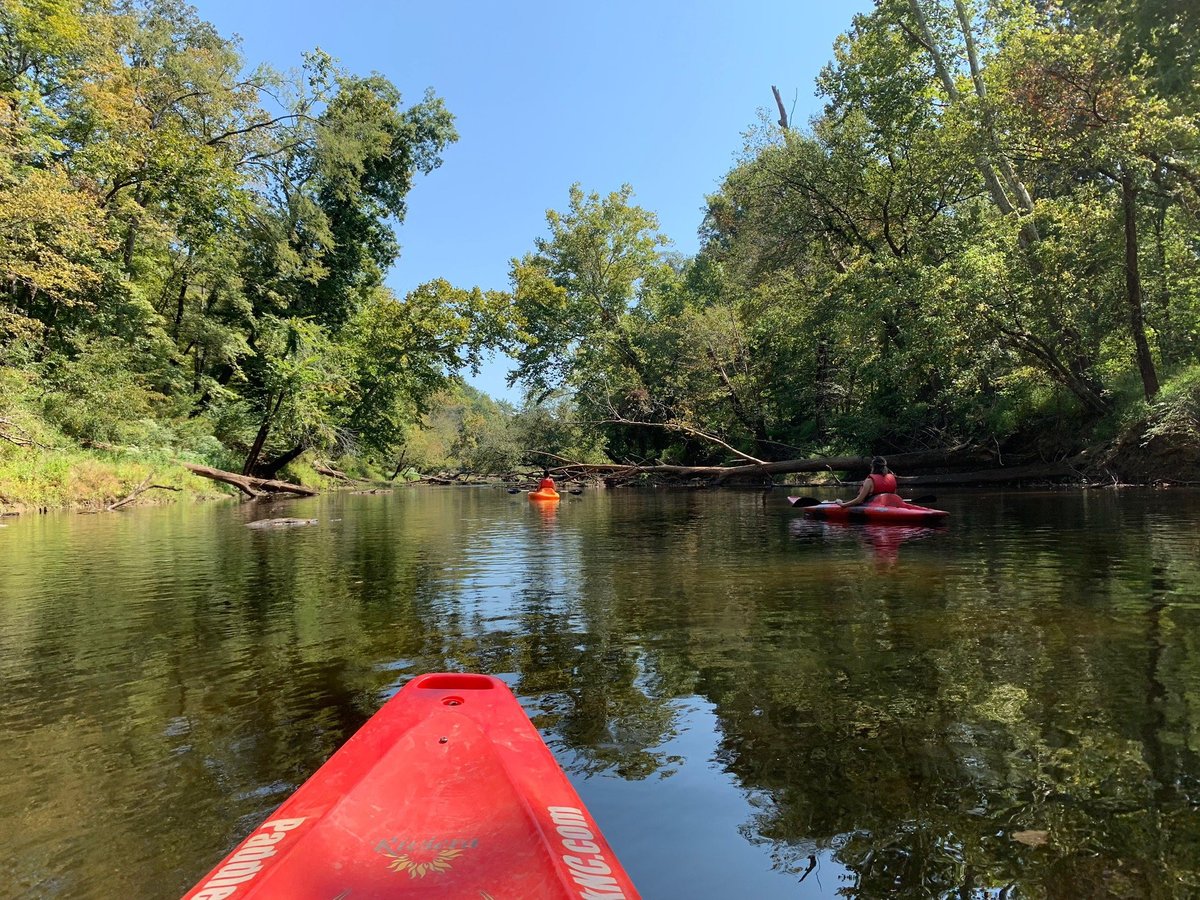 Paddle Creek - All You Need to Know BEFORE You Go (2024)