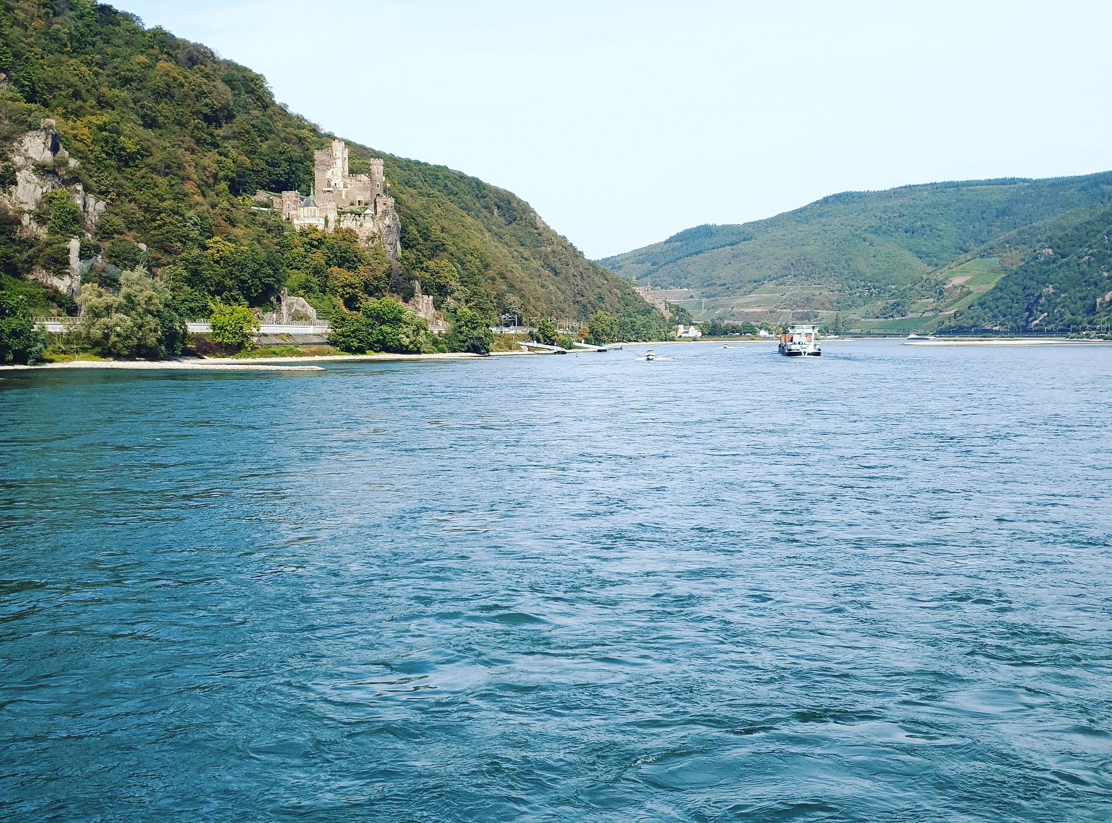 rhine river tours bingen am rhein