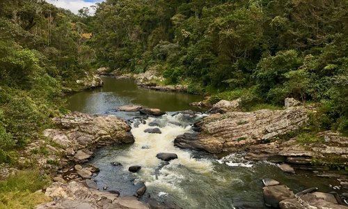 Ranomafana National park, Madagascar 🇲🇬