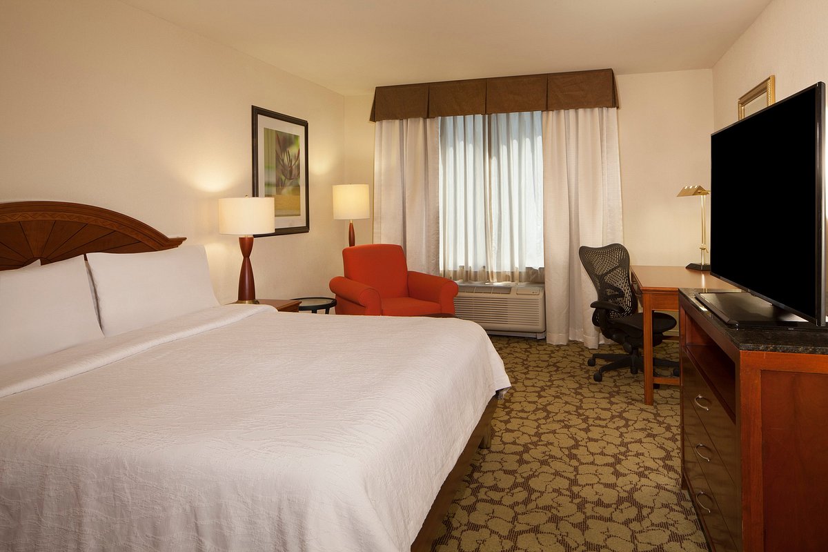 HILTON GARDEN INN VIRGINIA BEACH TOWN CENTER (Вирджиния-Бич) - отзывы, фото  и сравнение цен - Tripadvisor