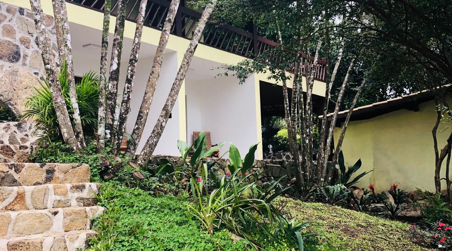 jardim lateral as suítes com varias palmeiras ao fundo e as bromélias a frente.