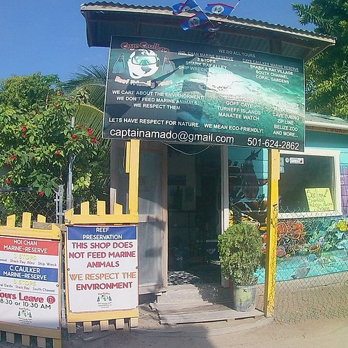 Eli and his fish - Picture of Mojo Sport Fishing and Tours, Caye Caulker -  Tripadvisor