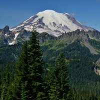 Tipsoo Lake Loop (Mount Rainier National Park): All You Need to Know