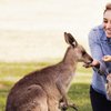 What to do and see in Bobs Farm, New South Wales: The Best Things to do