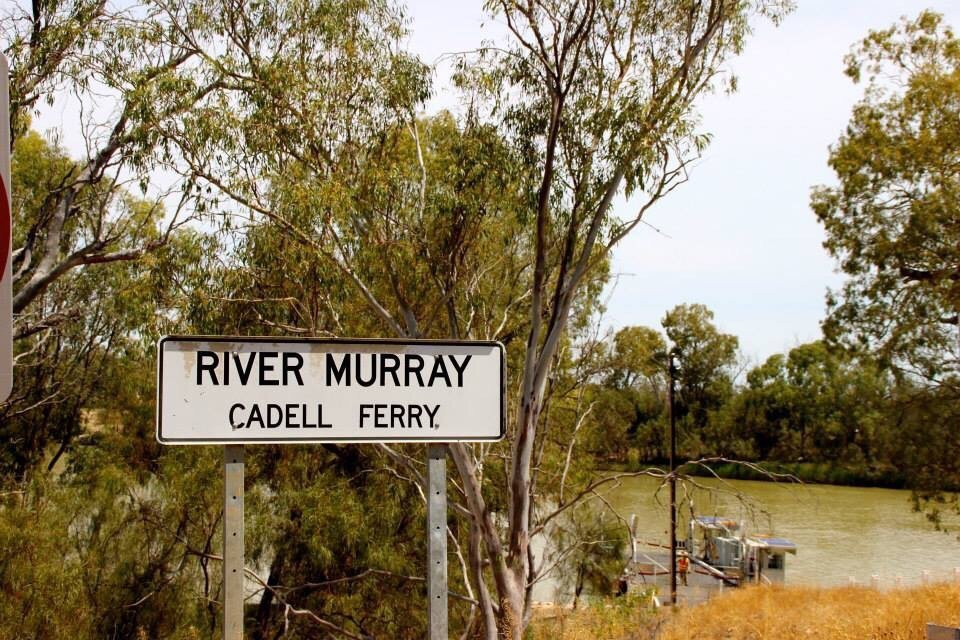 Cadell Ferry All You Need to Know BEFORE You Go