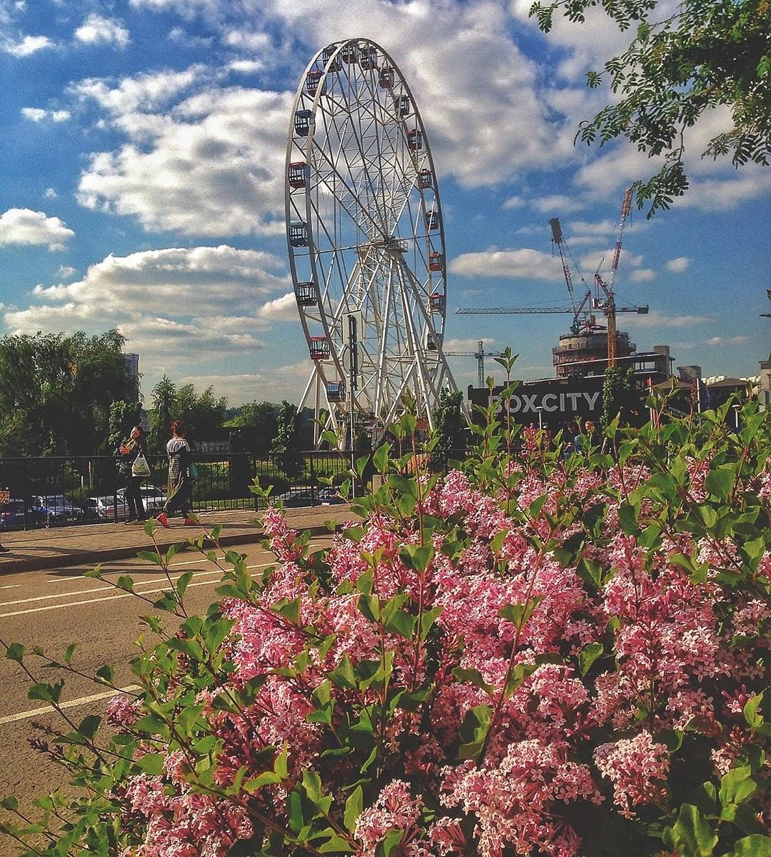 Колесо обозрения music wheel красногорск. Красногорск колесо обозрения. Красногорск колесо.