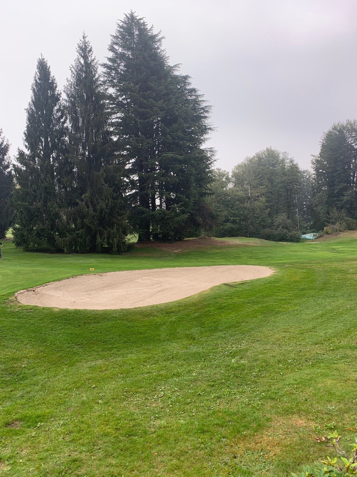 GOLF CLUB ALPINO DI STRESA (2024) All You Need to Know BEFORE You Go (with  Photos)