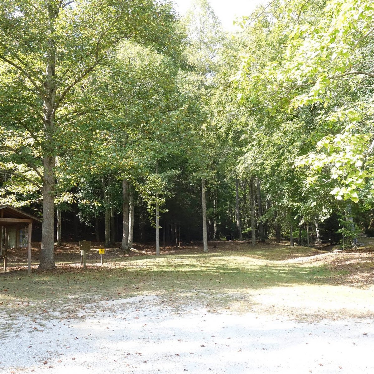 BLANTON FOREST STATE NATURE PRESERVE (Wallins Creek) - 2022 What to ...