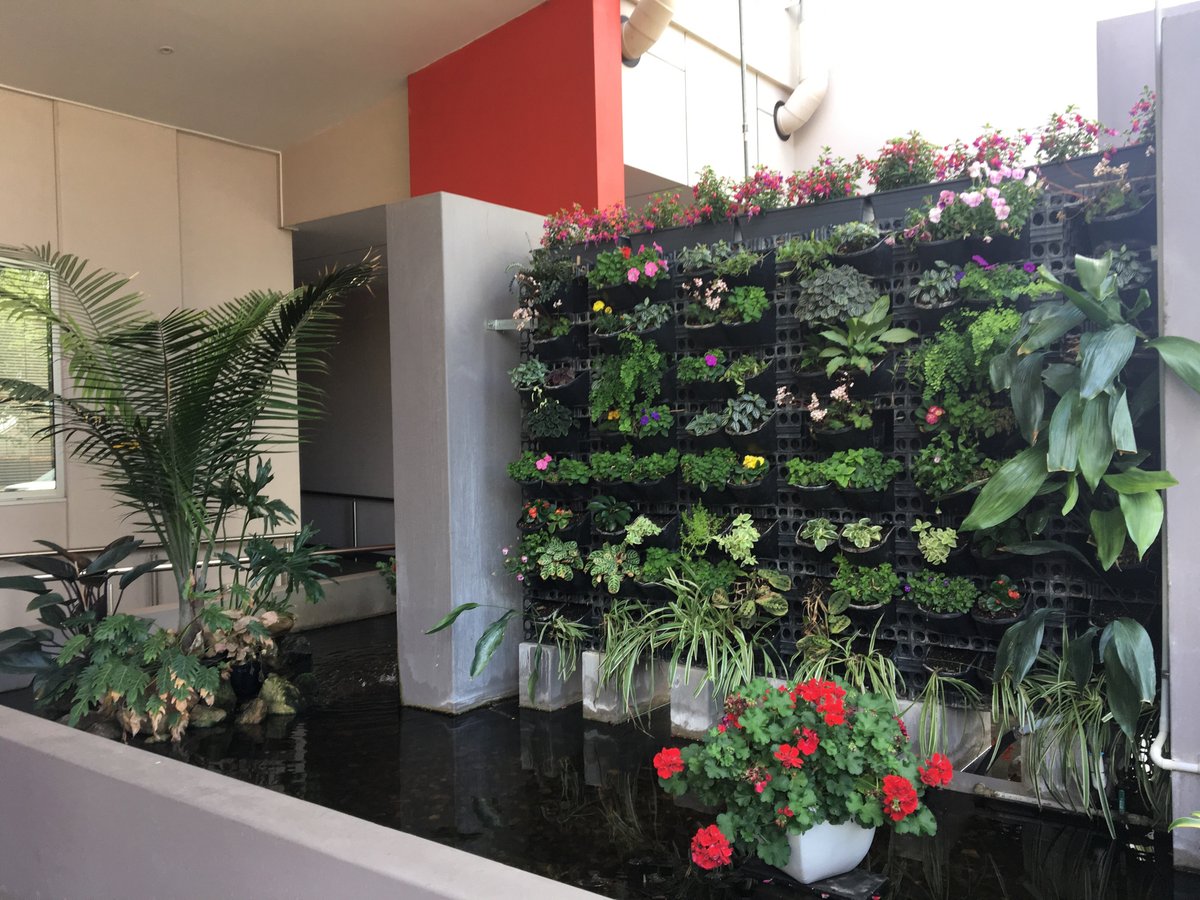 THE 10 BEST Restaurants in Toowoomba (Updated January 2024)