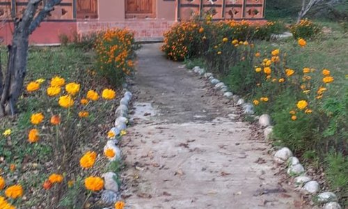 Cottages