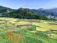 21年 寺坂棚田 行く前に 見どころをチェック トリップアドバイザー