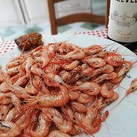 Convívio