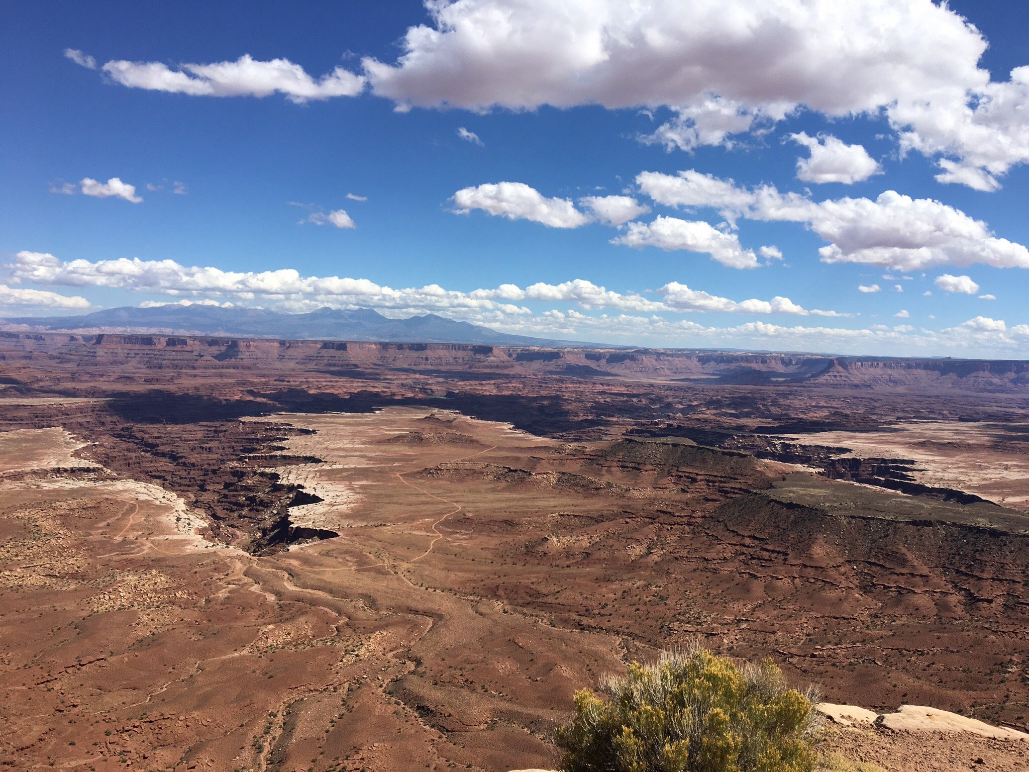 Buck 2025 canyon overlook