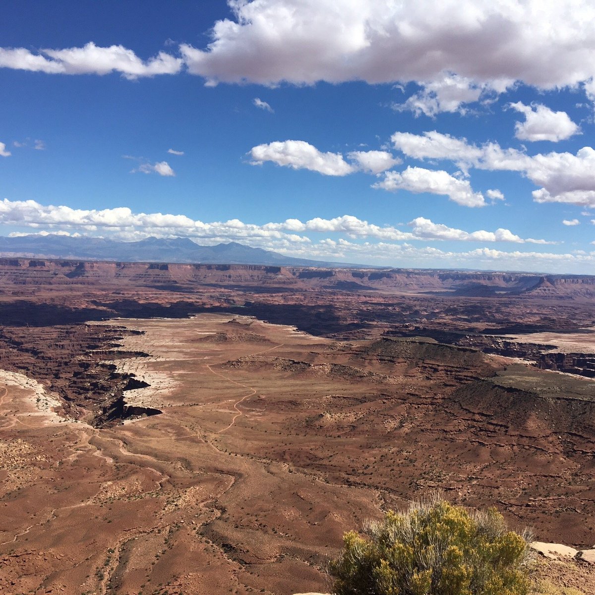 buck canyon overlook canyonlands national park