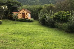 Zimmer und Suite
