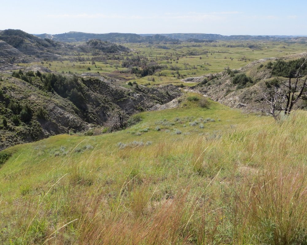 THE 15 BEST Things to Do in Medora - 2022 (with Photos) - Tripadvisor