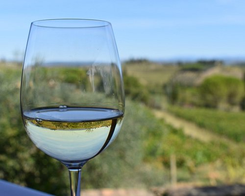 The 10 Best Italy Wineries And Vineyards Updated 2024 Tripadvisor 1024