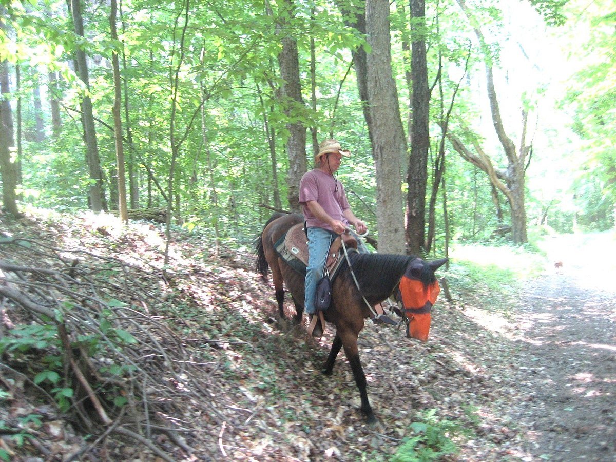 10 Thrilling Outdoor Adventures to Try This Weekend - Horseback Riding