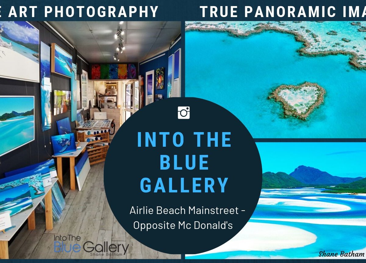 Into The Blue Gallery (airlie Beach) - All You Need To Know Before You Go