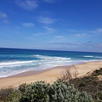 Portsea Back Beach: All You Need to Know BEFORE You Go