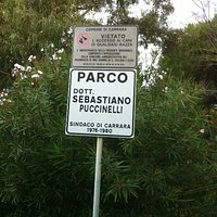 Particolare Parco Puccinellli Marina di Carrara