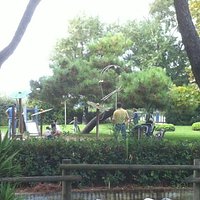 Particolare Parco Puccinellli Marina di Carrara