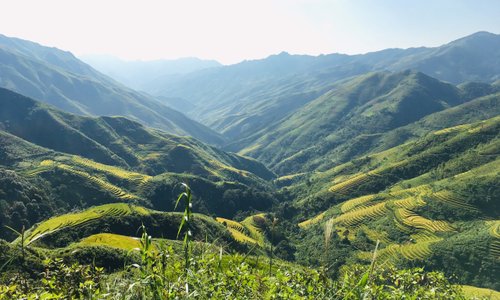 Beautiful Ripe Rice season in Northwest Vietnam
 ---
 See more interesting things here:
 www.vietlongtravel.com / www.vietnamholidays.tours