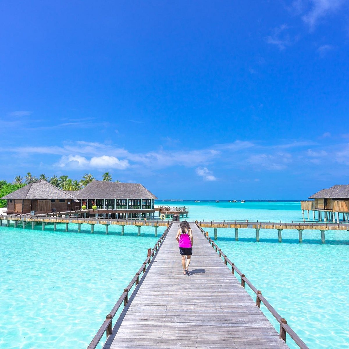 Island Todo (Male, Maldives): Hours, Address - Tripadvisor