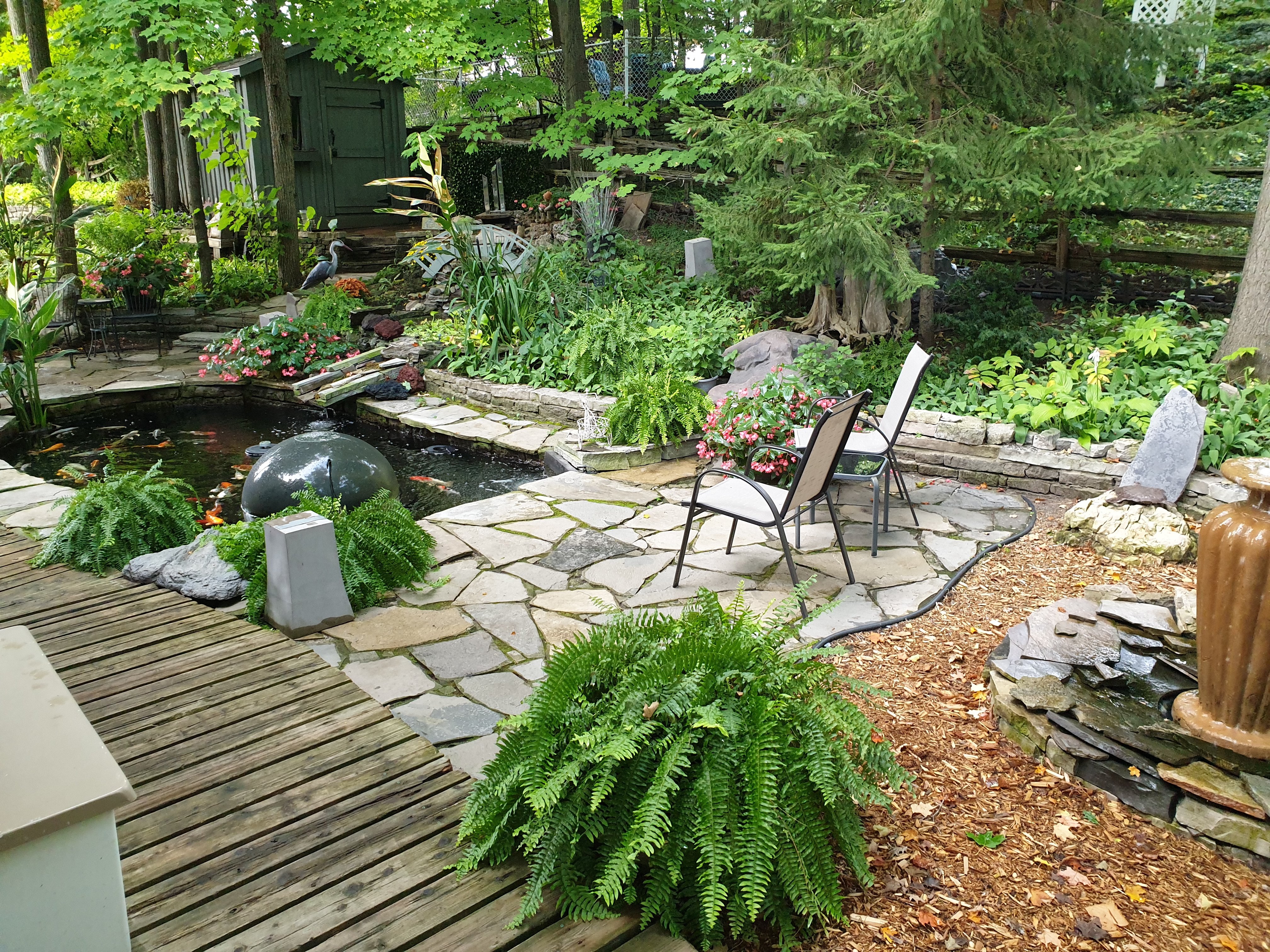 FOREST HILL BED AND BREAKFAST B&B (Kitchener, Canada - Ontario): Prezzi ...