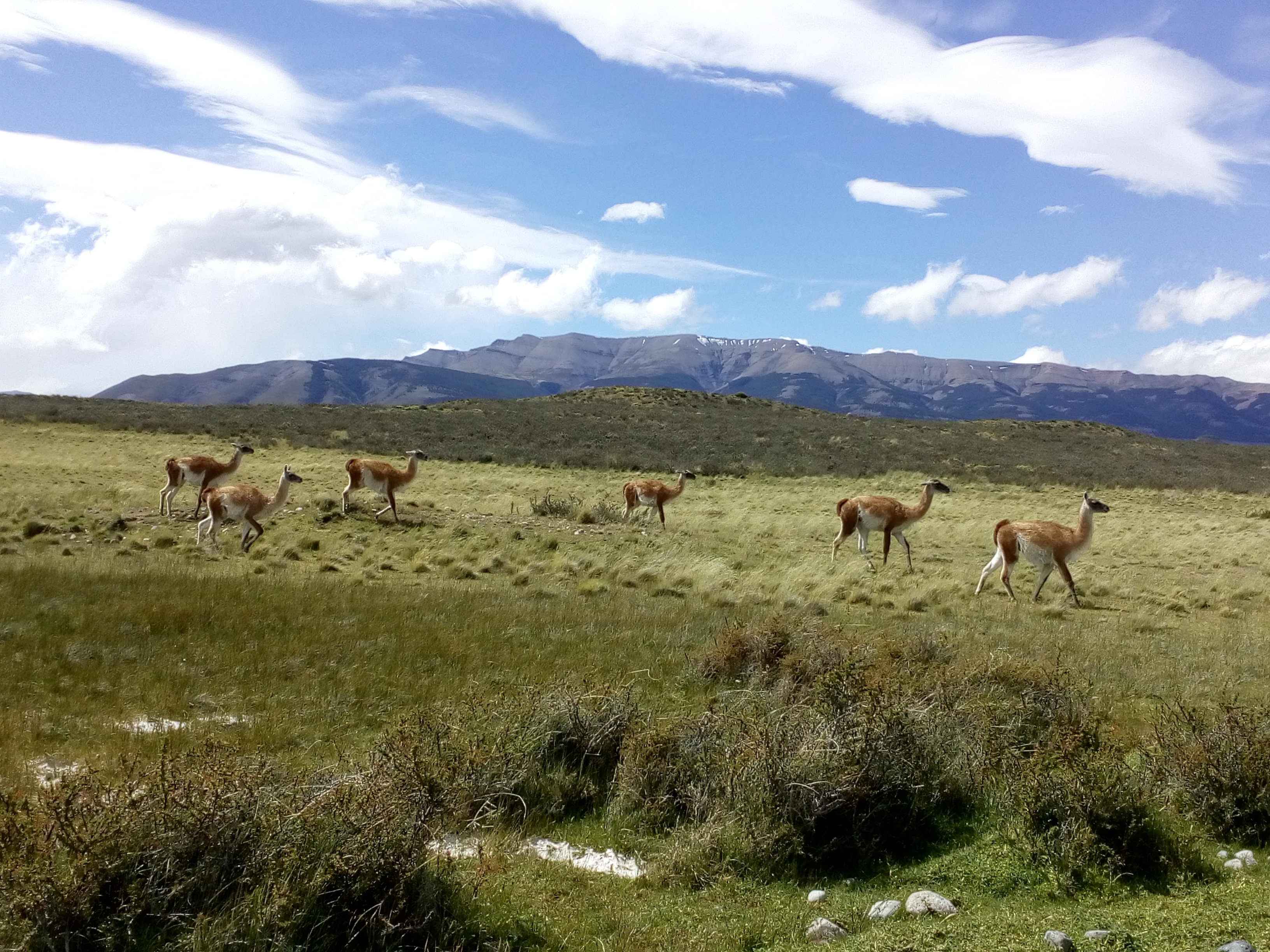 NAUTA PATAGONIA (Puerto Varas) - 2022 Qué Saber Antes De Ir - Lo Más ...