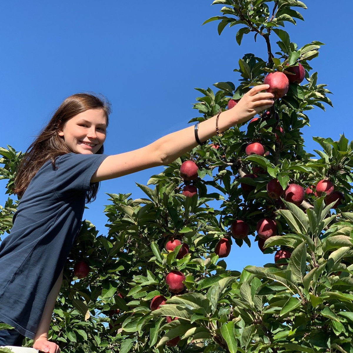 Cherry Hill Orchard (Lancaster): All You Need to Know