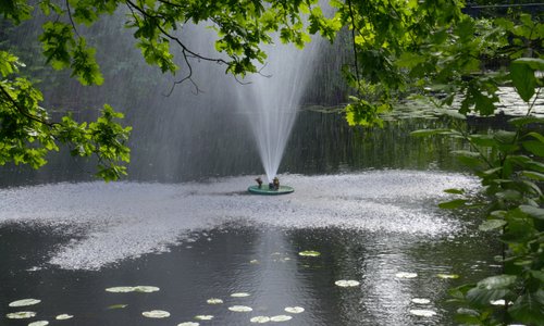 Rikligt med vatten i parken