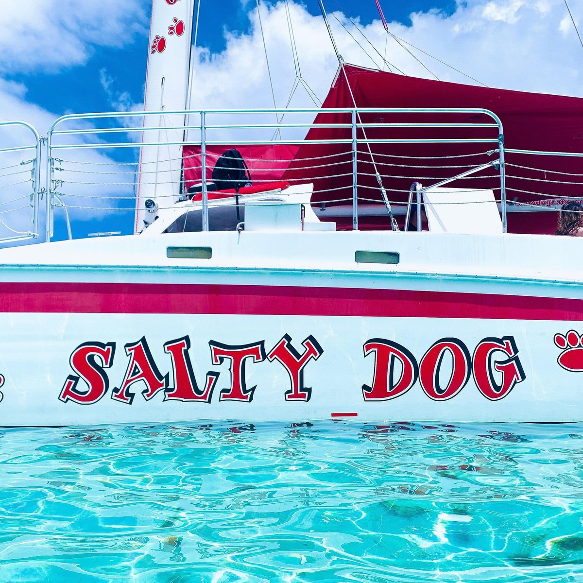 salty dog booze cruise puerto rico