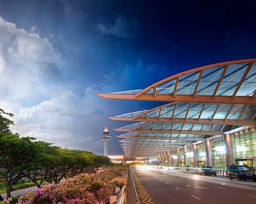 Changi Airport and Jewel Changi Airport launch Avatar and marine